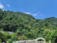 -黔灵山公园