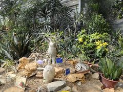 -国家植物园南园