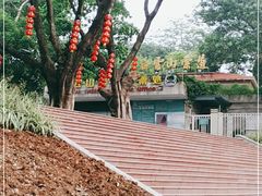 -白云山索道-售票处