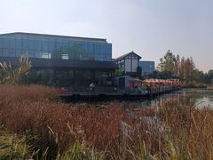 -白鹭湾湿地公园