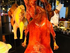 -广州富力君悦大酒店·凯菲厅