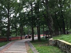 -阳台山自然风景区