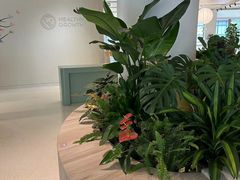 -观心实验室·心理咨询(上海旗舰店)