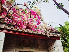 -深圳国际园林花卉博览园