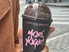 -茉酸奶(广西北路店)