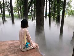 -东湖落雁景区