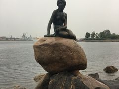 -美人鱼