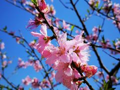 -白塘生态植物园