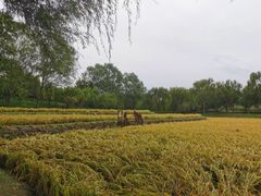 -北坞公园