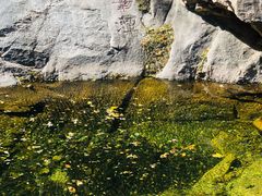 -黑龙潭风景区