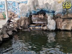 -华夏文旅海洋公园