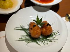 -觀芷隐轩
