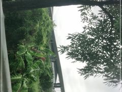 -奥林匹克体育中心游泳馆