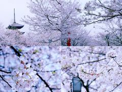 -东湖生态旅游风景区