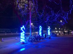-五月花(朝阳南大街店)