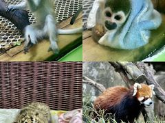 -常州淹城野生动物世界