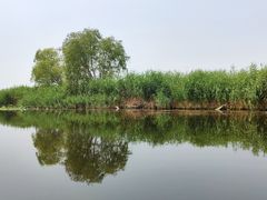 -白洋淀风景区