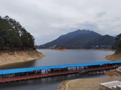 -广州市流溪河国家森林公园