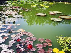 -国家植物园南园