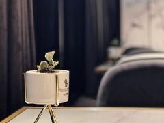 -外滩1288花园丽舍