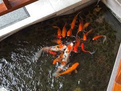 -尺山寸水日料(马桥满天星店)