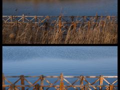 -野鸭湖国家湿地公园