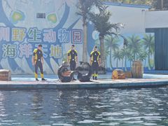 -深圳野生动物园