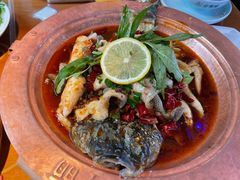 -菌自由丨野生菌火锅特色庭院餐厅(丽江古城店)