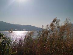 -西昌邛海湿地