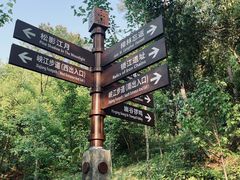 -铁山坪森林公园