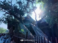 -晋祠博物馆