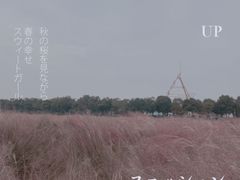 -艾溪湖湿地公园