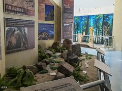 -延庆地质公园博物馆