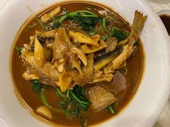 河豚-怡园饭店-餐厅(四望亭店)