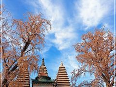 -北京石刻艺术博物馆(五塔寺)