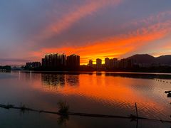 -飞来湖湿地公园