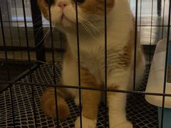 -臻鲜燕海鲜融合餐厅(金陵style店)