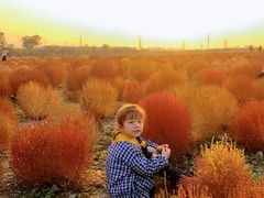 -映月湖中央公园