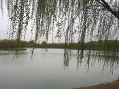 -河北工业大学(北辰校区)