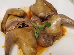-百利鸽王(紫薇路店)