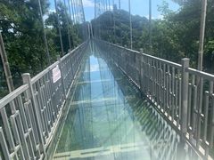 -石燕湖生态旅游景区