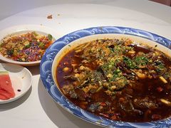 -新概念来凤鱼(璧山店)