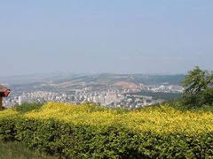 -原山国家森林公园