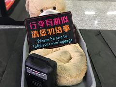 -张家界荷花国际机场航站楼-国内出发