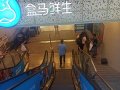 -盒马鲜生(双清路店)