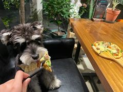 -百好乐宠物友好餐厅(朝外大街店)