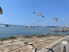 -星海广场