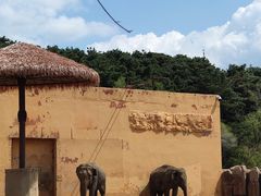 -沈阳森林动物园