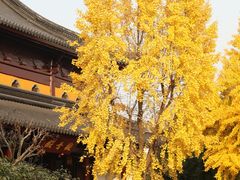 -北寺塔
