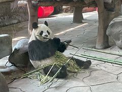 -宁波野生动物园